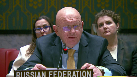 В Европе готовятся к большой войне против России, заявил Василий Небензя