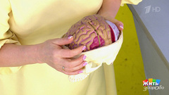 Атмосферное давление — кто в зоне риска? Жить здорово! Фрагмент 