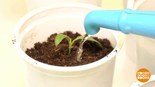 Я б в аграрии пошел! И меня научат! Доброе утро. Фрагмент 