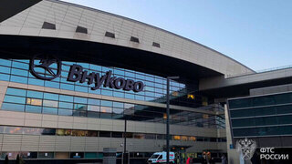 Во Внуково задержали пытавшегося провезти 12 рогов и черепов оленя