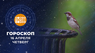 Гороскоп на 16 апреля. Доброе утро. Фрагмент 