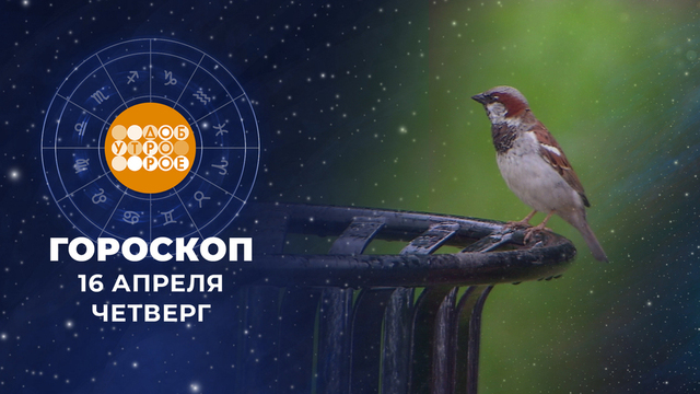 Гороскоп на 16 апреля. Доброе утро. Фрагмент 
