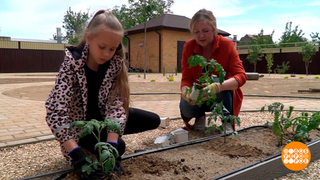 В огороде — все свое! А сколько это стоит? Доброе утро. Фрагмент 