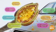 Тополиный «десант»: чем отчистить машину? Доброе утро. Фрагмент