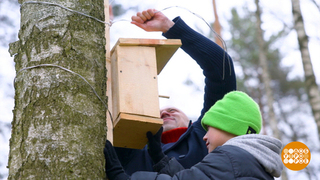 Папа вам не мама, с ним сделаем скворечники! Доброе утро. Суббота. Фрагмент 