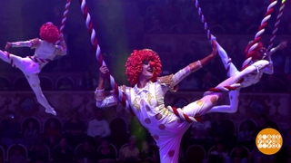 Спасибо тебе, цирк! Доброе утро. Суббота. Фрагмент 