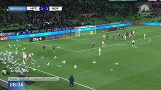 Незваные гости: стая чаек настигла футбольное поле во время матча в Австралии