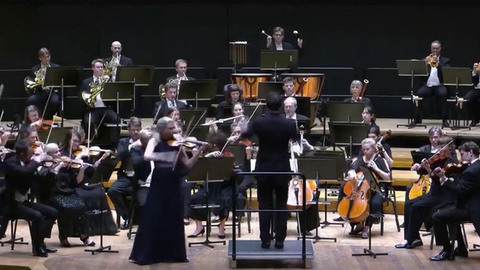 В Финляндии во время концерта дирижер выбил из рук скрипачки инструмент за миллион евро