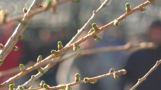 Синоптики предупредили о ледяных дождях в Москве