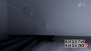 Кошка в натяжном потолке. Видели видео? Фрагмент 