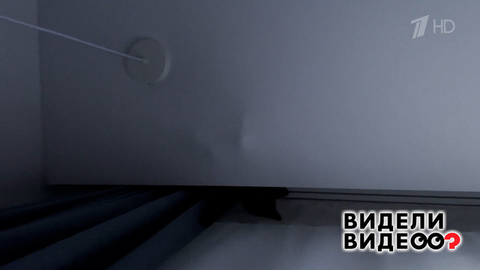 Кошка в натяжном потолке. Видели видео? Фрагмент 