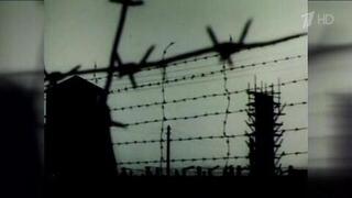 Больше семи миллионов советских граждан погибло за годы Великой Отечественной войны в фашистских лагерях смерти