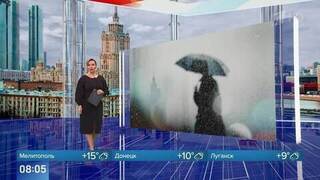 Мокрый снег может выпасть в некоторых районах Москвы