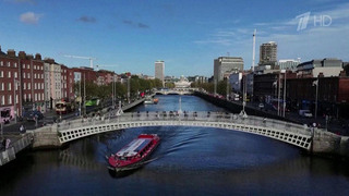 Власти Ирландии пытаются вернуть украинцев на родину