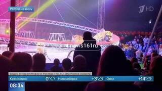 Появились кадры побега тигра с арены цирка в зрительный зал в Ростове-на-Дону