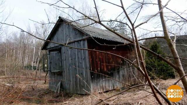 Участок, где твой хозяин? Доброе утро. Фрагмент 