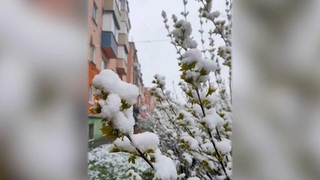 Весна преподносит сюрпризы жителям разных российских регионов