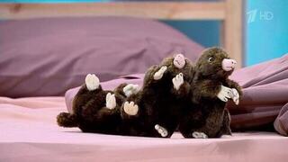 Прокопала путь к сердцу: героиня «Давай поженимся!» заставила жениха ловить «кротов»