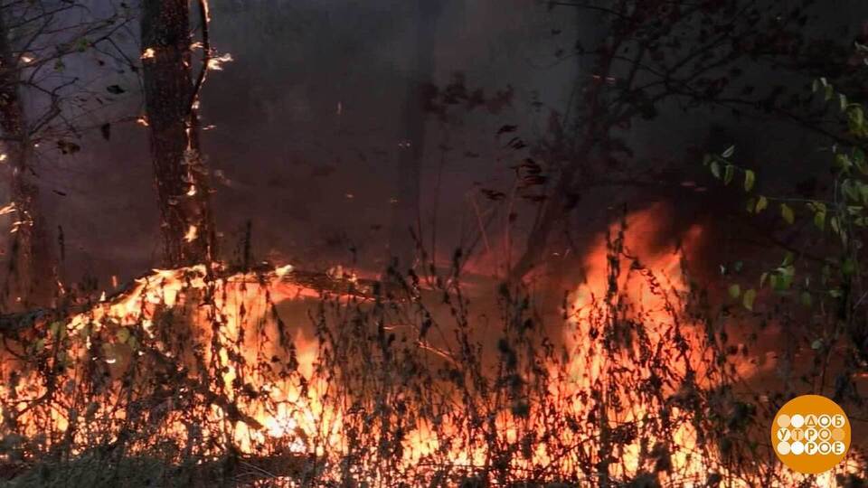 Не поджигайте траву! Доброе утро. Фрагмент выпуска от 22.04.2026