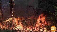 Не поджигайте траву! Доброе утро. Фрагмент 