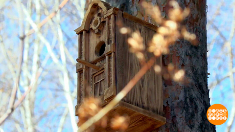 Скворечники, синичники: а на окне — наличники! Доброе утро. Фрагмент 