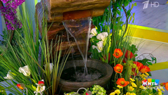 Секреты родников: что скрывают санитарные врачи? Жить здорово! Фрагмент 