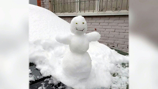 В Центральной России ударили заморозки