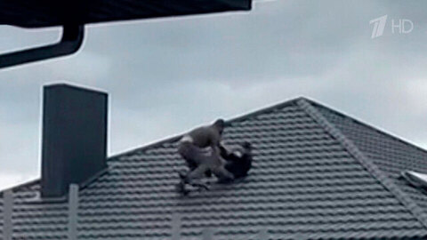 В сети появились новые пугающие кадры украинской принудительной мобилизации