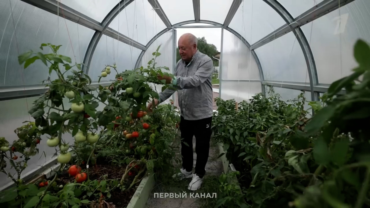 «У нас сто яблонь, а я все сажаю и сажаю». Алексей Мишин на даче. Алексей Мишин: Профессор, каким вы его не видели. Фрагмент