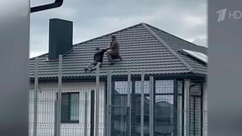 Появились новые подробности скандального эпизода с насильственной мобилизацией в Волынской области