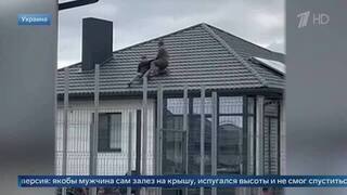 Сбросили с крыши и потащили в машину: кадры мобилизации в Волынской области