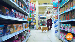 Собака, пойдем на шопинг! Доброе утро. Фрагмент 