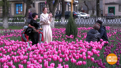 А у нас в апреле — снег... А у нас — тюльпаны! Доброе утро. Фрагмент 