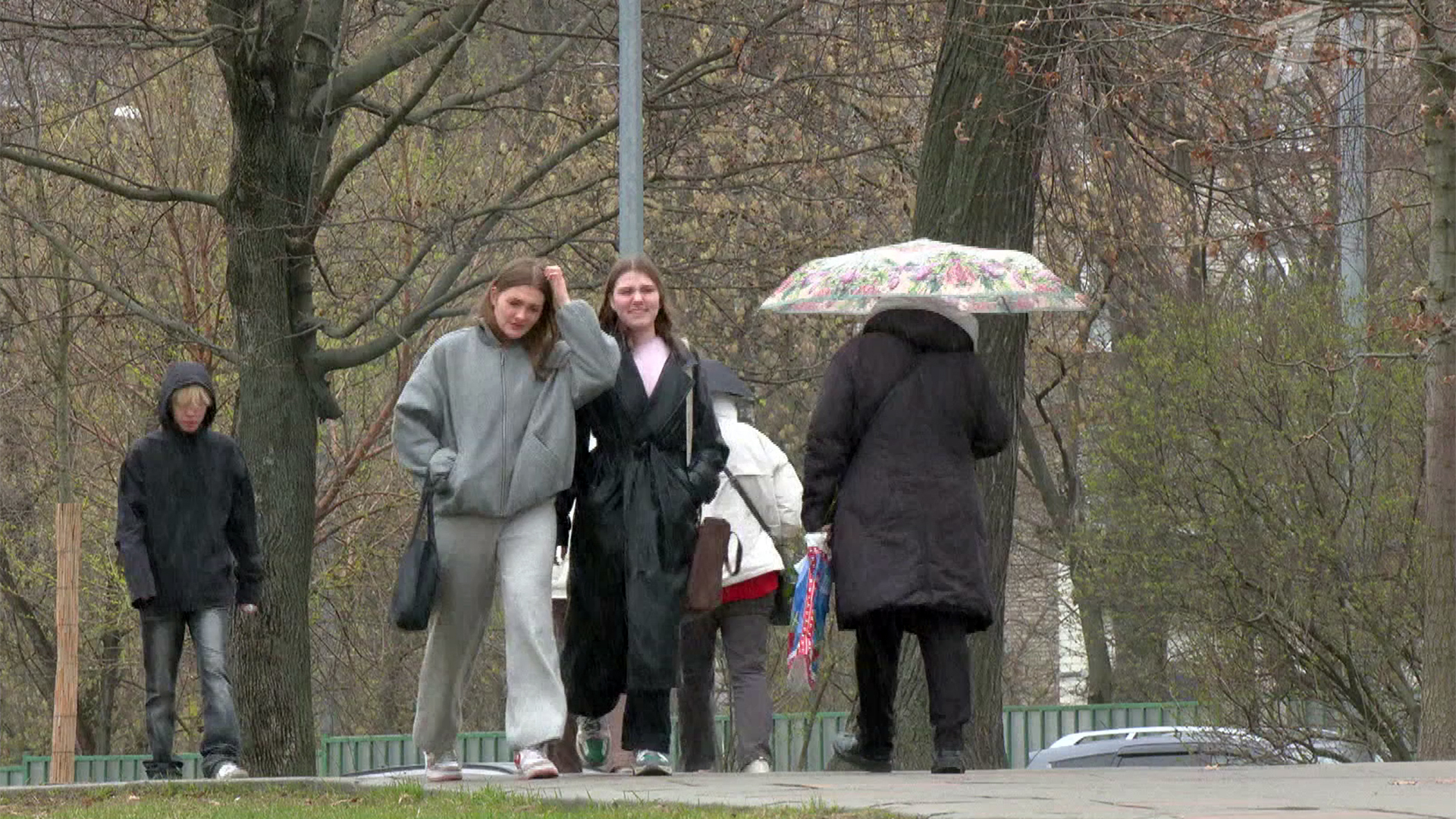 Арктическое вторжение накрыло европейскую Россию: в Москве ожидают две волны похолодания