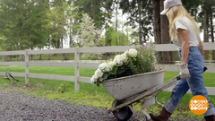 Грядки — в тренде! Доброе утро. Фрагмент