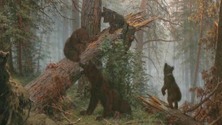 В Санкт-Петербурге открывается масштабная выставка «Иван Шишкин. Русский лес»