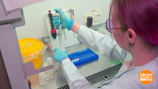 О чем расскажет ДНК? Доброе утро. Суббота. Фрагмент 