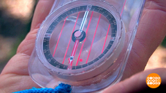 Идете в лес? Не забудьте компас! Доброе утро. Суббота. Фрагмент 