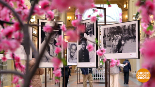 «Мой лес». Выставка фотографа Льва Мелихова в ГУМе. Доброе утро. Суббота. Фрагмент