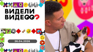 В выпуске: пес Майло поет; Ульяна тайком взяла конфету; корги Харти. Видели видео? 