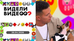 В выпуске: пес Майло поет; Ульяна тайком взяла конфету; корги Харти. Видели видео? 