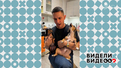 Пес Майло поет. Видели видео? Фрагмент 