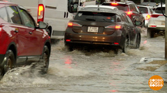 Я вас люблю, мои дожди...Доброе утро. Фрагмент 