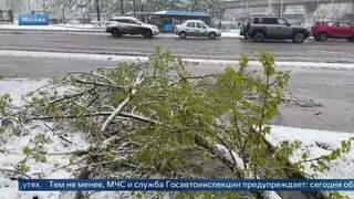 Не пройти, не проехать: опубликованы кадры последствий снегопада в Москве