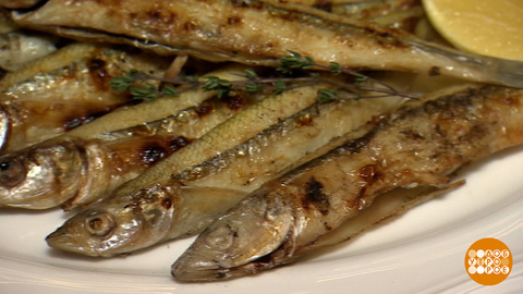 Корюшка: рыбка-символ! И пахнет огурчиком… Доброе утро. Фрагмент