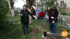 А у нас во дворе — все по-соседски! А у Вас? Доброе утро. Фрагмент