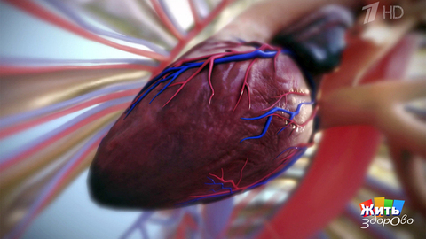 Когда сердце остановилось: невероятная история. Жить здорово! Фрагмент 