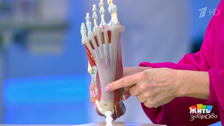 Пяточная шпора: быстро избавляемся от боли. Жить здорово! Фрагмент 