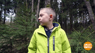 Помогаем ребенку, который потерялся в лесу. Доброе утро. Фрагмент 