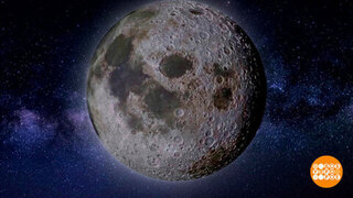 Все цвета Луны. Доброе утро. Фрагмент 